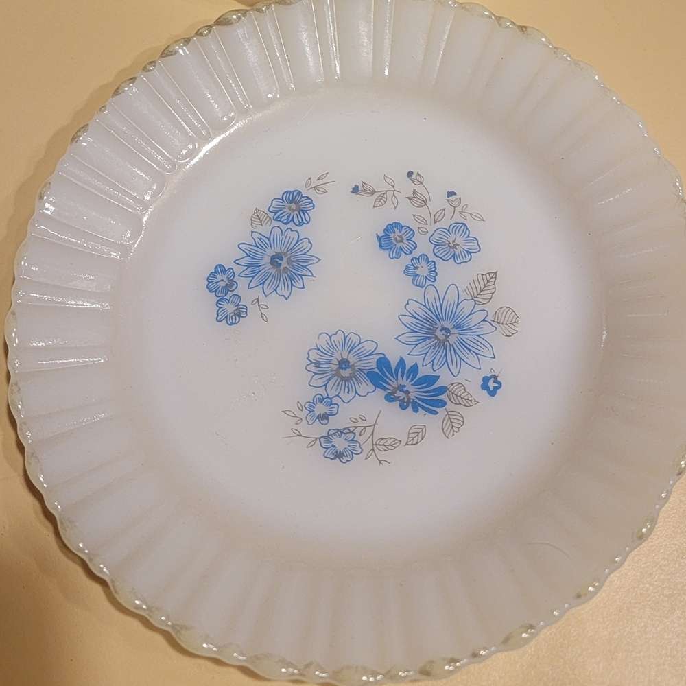 Vintage 2 Salad plates Termocrisa Mexico blue floral